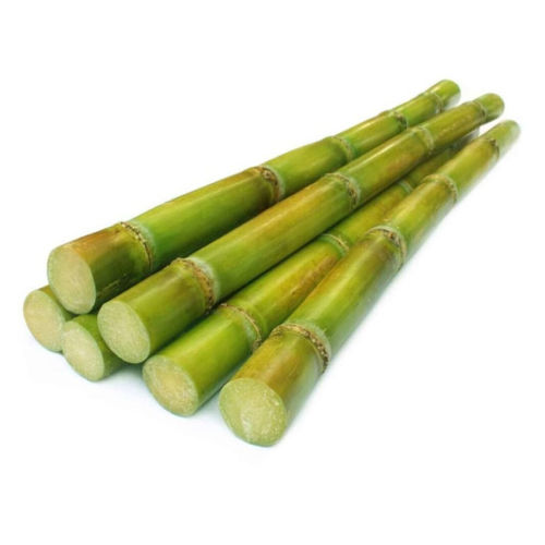 Fresh Sugarcane