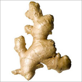 Fresh Ginger