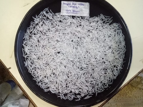 1509 Steam Basmati Rice