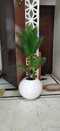 Grc Planter - Polished Finish, Grc Material (white Cement + Glass Fibre), Available In Multiple Colors