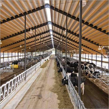 Prefabricated Dairy Farm Sheds