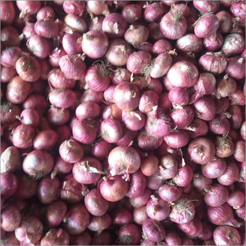 Red Onion - Organic Natural Shape | 6 Months Shelf Life Worldwide Export