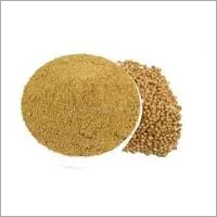 Coriander Powder Coriander Powder