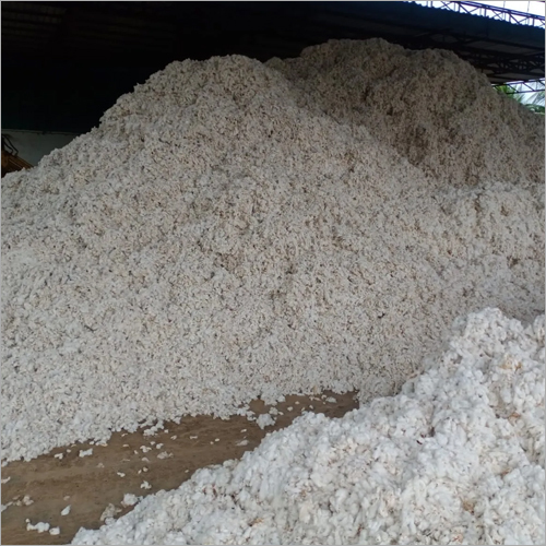 White Pure Raw Cotton