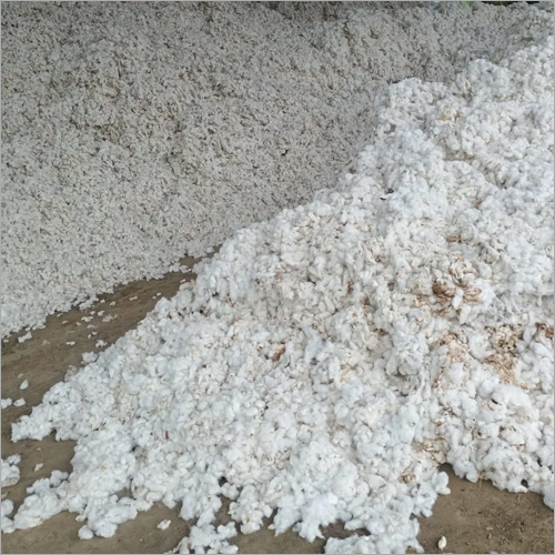 White Raw Cotton
