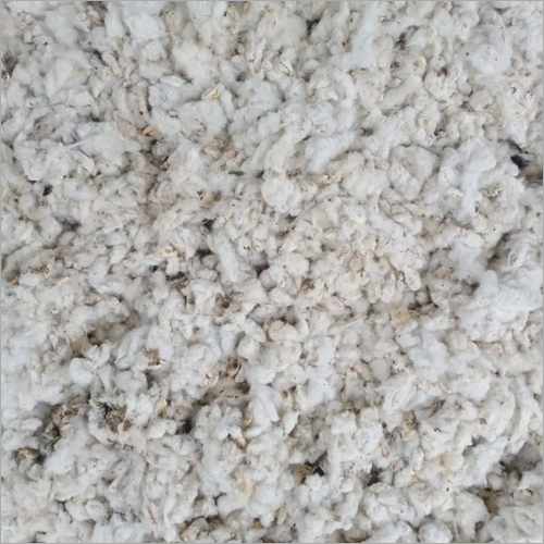 White Pure Raw Cotton