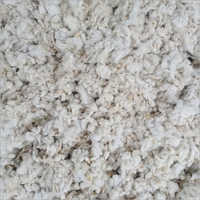 Raw Cotton