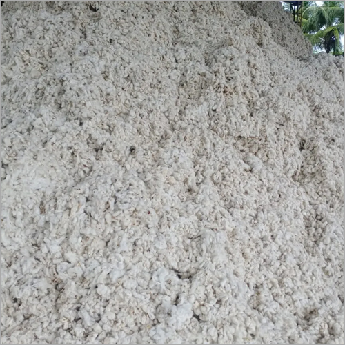 Pure Raw Cotton