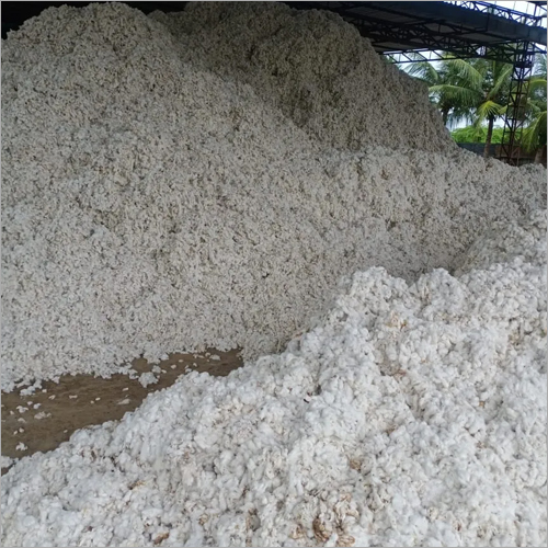 Pure Raw Cotton