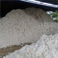 White Raw Cotton