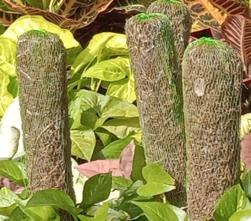 Moss Stick Packaging Nets