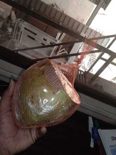 Coconut Packaging Nets