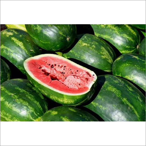 Fresh Watermelon