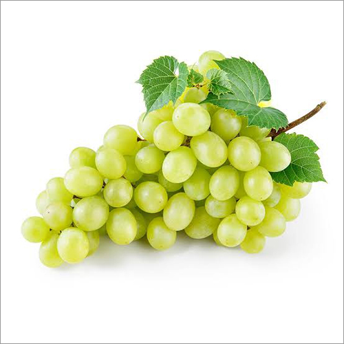 Fresh Grapes
