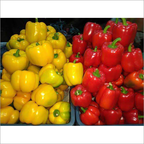 Fresh Capsicum