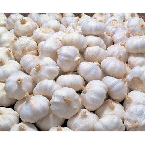 Fresh Garlic