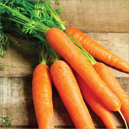 Fresh Carrot