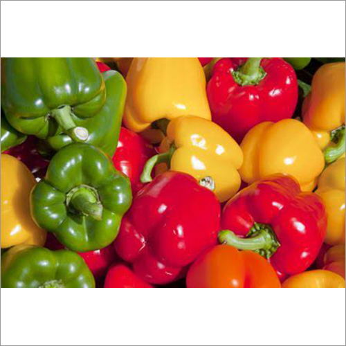 Fresh Capsicum