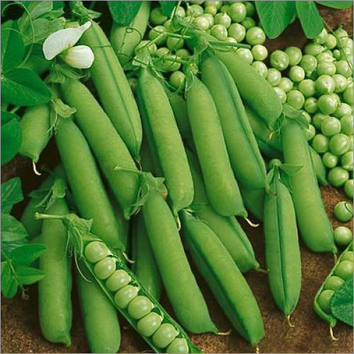 Green Peas