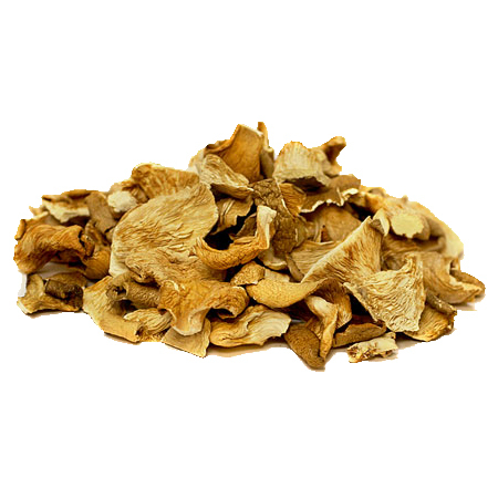 Dried Mushroom By GUSTOSA FOODS PRIVATE LIMITED