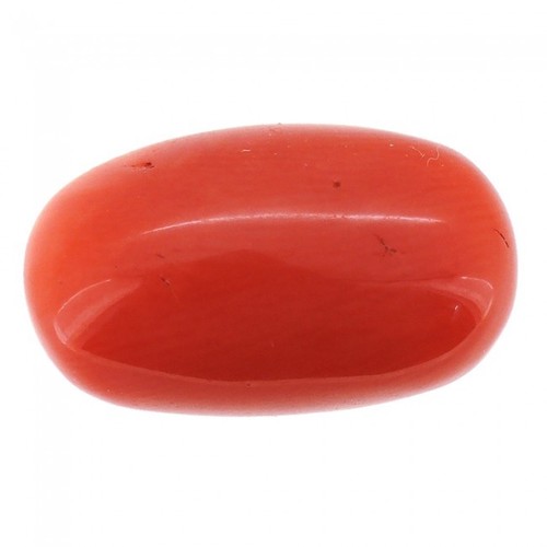 Oval Cut Italian Red Coral