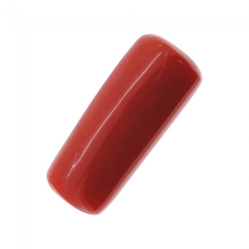Red Online Coral
