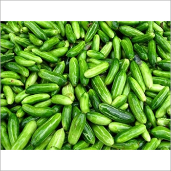 Ivy Gourd By Br Export & Import