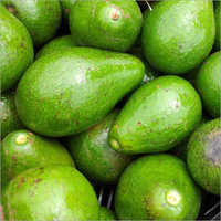 Avocados Fresh
