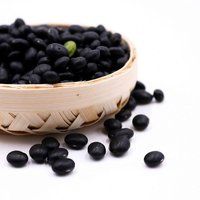 High Quality Black Kidney Bean With