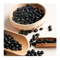 Black Beans