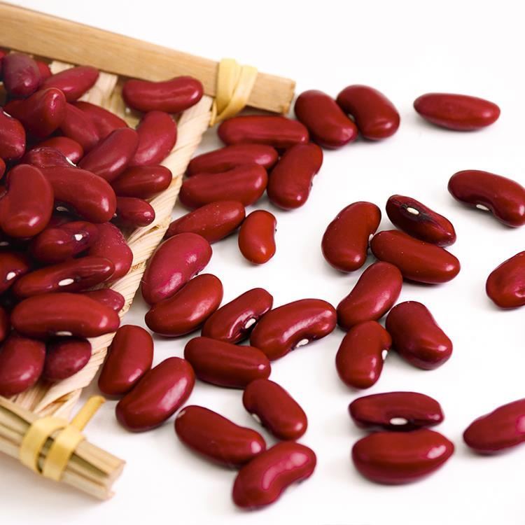 Best Quality Black Kidney Beans