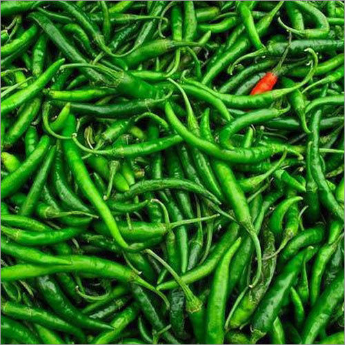 Natural Fresh Green Chilli