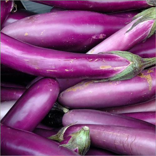 Natural Fresh Brinjal