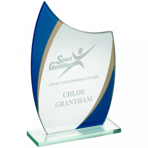 Customized Acrylic Trophies For Award, Events