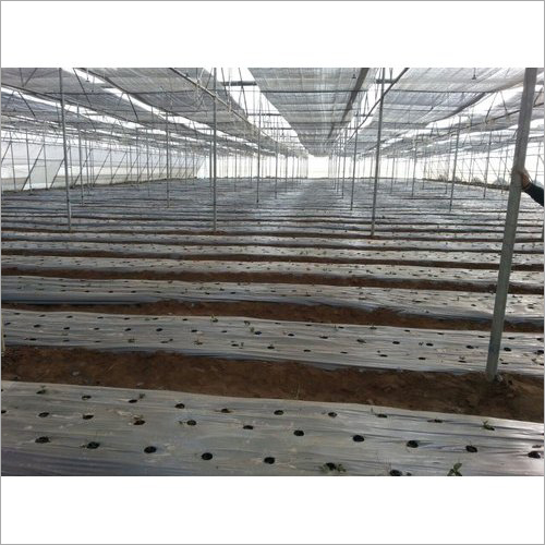 Mulching Film For Agriculture Farming