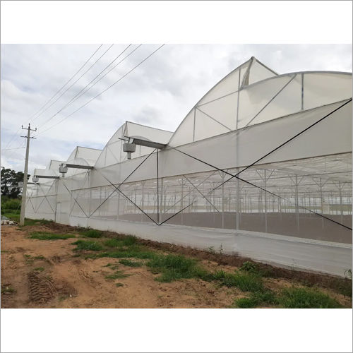 Plastic Greenhouse Covering Film