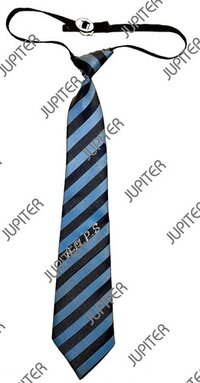 School Uniform Tie - Polyester, Size S | Age Group 4-19, Unisex, Customizable Logo, Suitable For High School, Middle School, Primary School