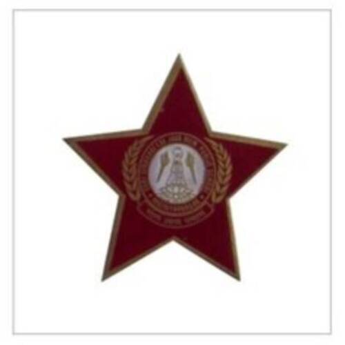 Metal School Badge