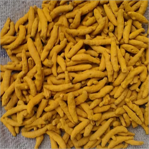 Yellow Dried Turmeric Finger