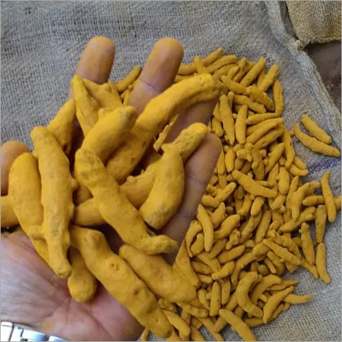 Yellow Organic Turmeric Finger