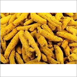 Yellow Double Polish Turmeric Finger