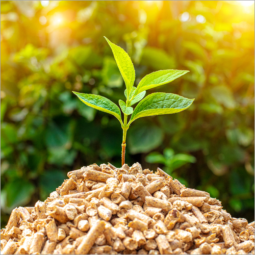 Biomass Wooden Pellets