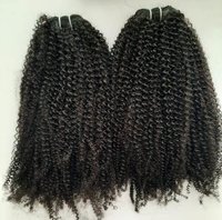 Steam Afro Kinky Curly Human Hair