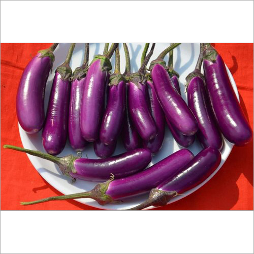 Heena F1 Hybrid Brinjal - Egg Plant Seeds