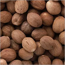 Nutmeg