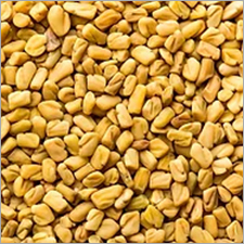 Fenugreek Seeds