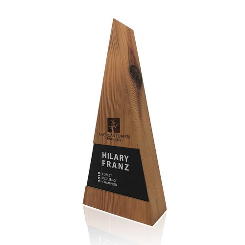 Modern Look Triangle Shaped Wood Trophies