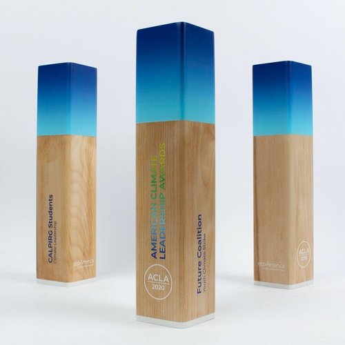 Finely Finished Engineered Wood Multicolor Wooden Trophies For Award Ceremonies
