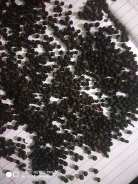 Organic Black Pepper - Grade A, Round Shape | Natural Taste, Deep Black Color