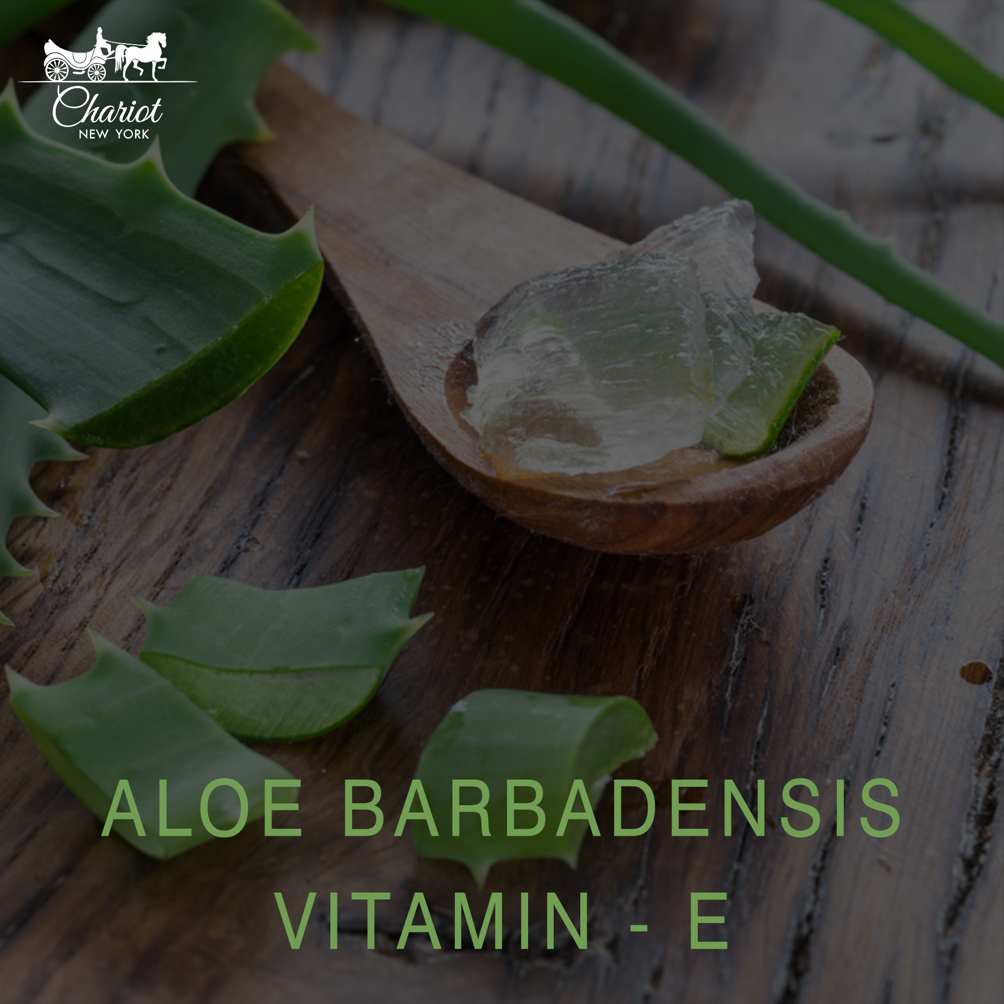 Aloe Vera Gel For Hair & Skin 120 ML